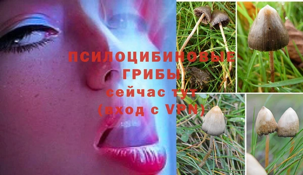 MDMA Premium VHQ Бугульма